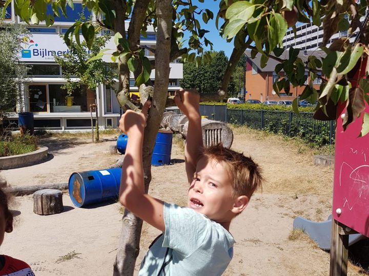 Locatie